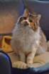 dsc_0611_small.jpg
