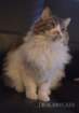 dsc_0774_small.jpg