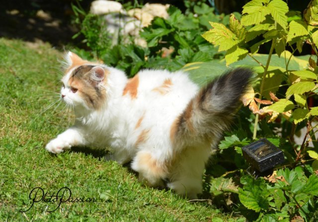 dsc_9213.jpg