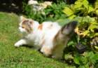 dsc_9213_small.jpg