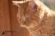 pendragon3mois10copie_small.jpg
