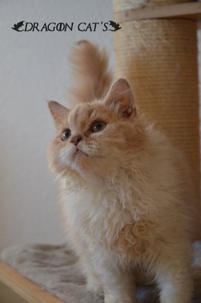 DSC_7791.jpg