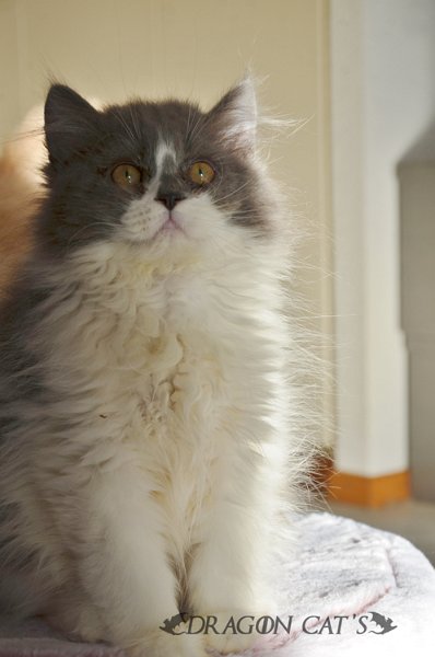 DSC_7944.jpg