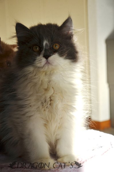 DSC_7947.jpg
