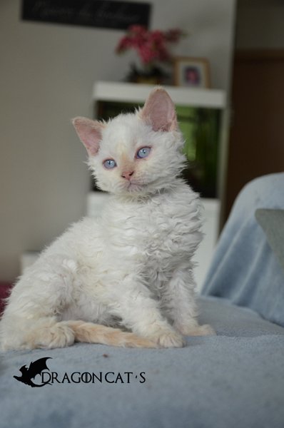 Thor-12-nov-(47).jpg