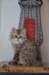 uschy08071_small.jpg