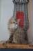 uschy08072_small.jpg