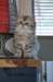 uschy08073_small.jpg