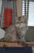 uschy0807_small.jpg