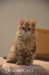 uschy1108_small.jpg