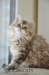uschy1407202311_small.jpg