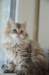 uschy140720231_small.jpg