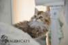 uschy140720233_small.jpg