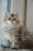 uschy14072023_small.jpg