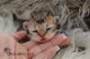uschy230520231_small.jpg