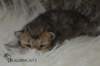 uschy230520238_small.jpg