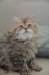 utha170120235_small.jpg