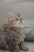 utha170120236_small.jpg