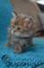 utha19juin109_small.jpg