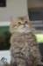 utha23juillet47_small.jpg
