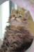 utha25juin54_small.jpg
