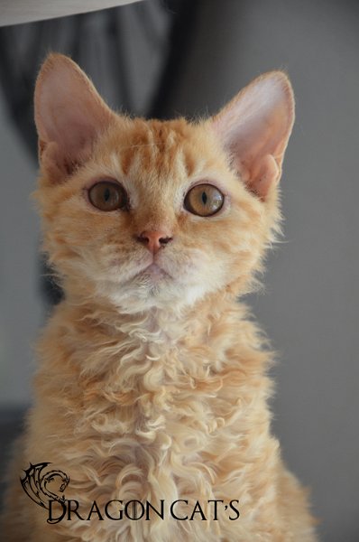 Vhagar-juin-2024_--(8).jpg