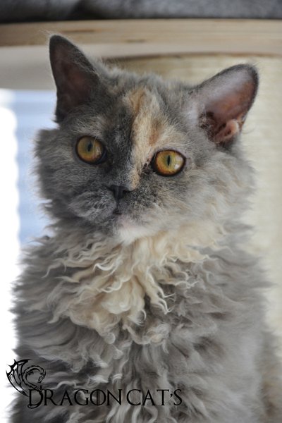 DSC_8856.jpg