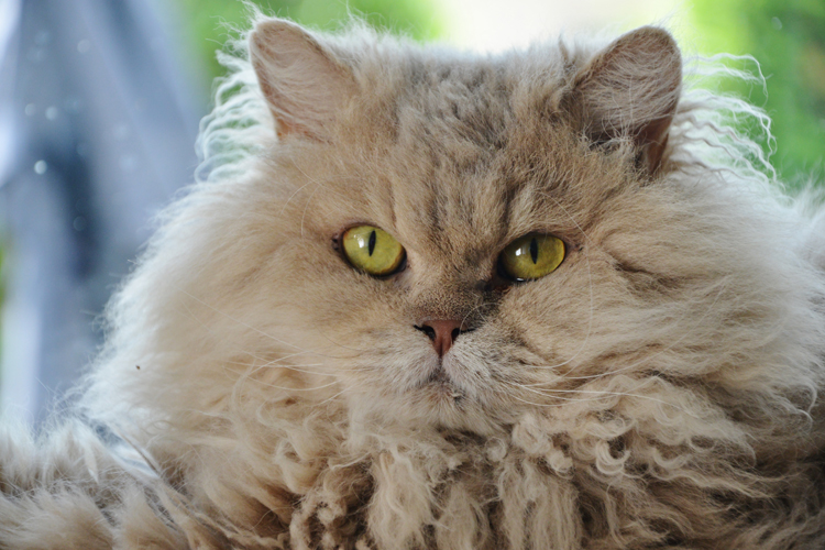 DSC_8749.jpg