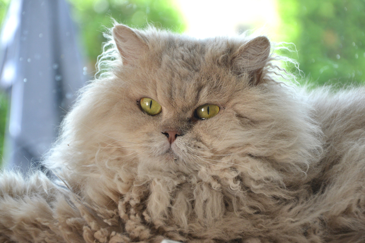 DSC_8768.jpg
